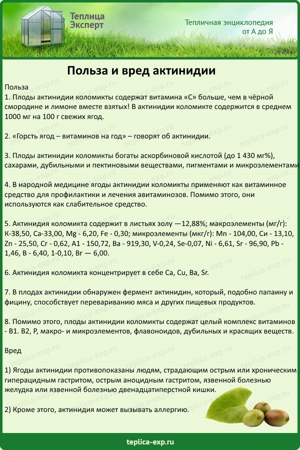 Рассмотрение обильного состава и воздействия на состояние организма.